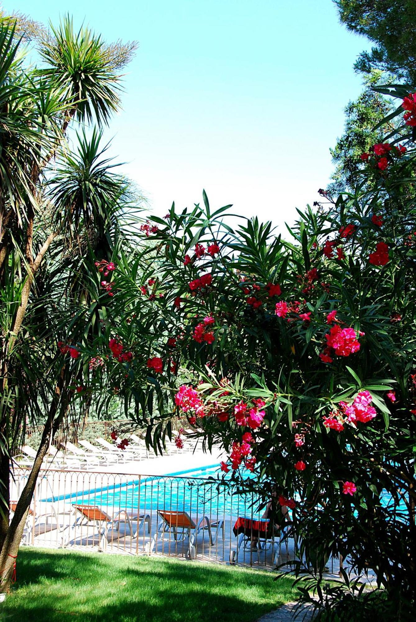 Hotel Les Mazets Des Roches Tarascon Eksteriør billede